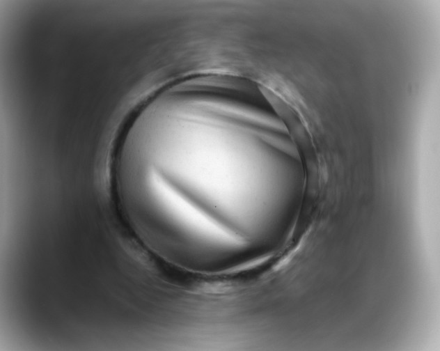 X0000088390344200706051121