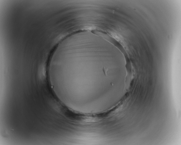 X0000088390347200706051121