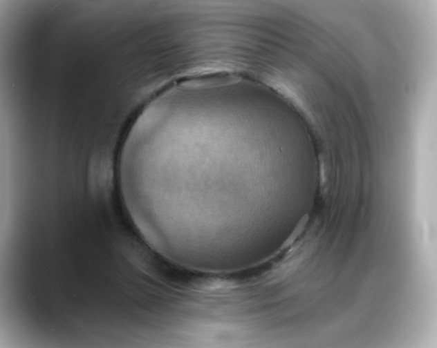 X0000088390348200706051121