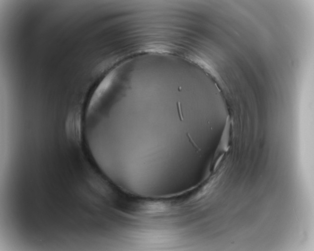 X0000088390349200706051121