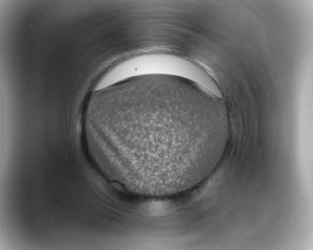 X0000088390350200706051121