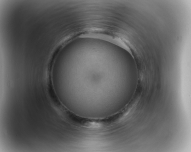 X0000088390352200706051121