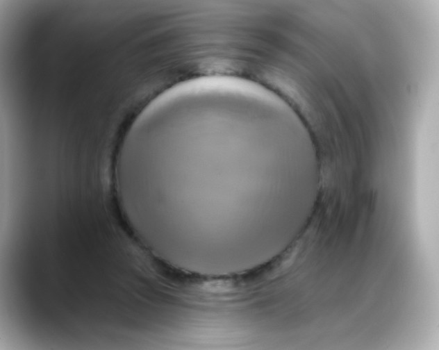 X0000088390353200706051121