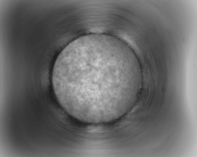 X0000088390354200706051121