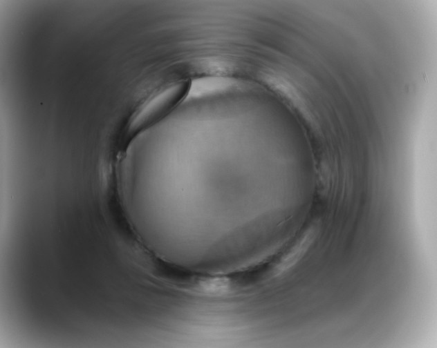 X0000088390355200706051121