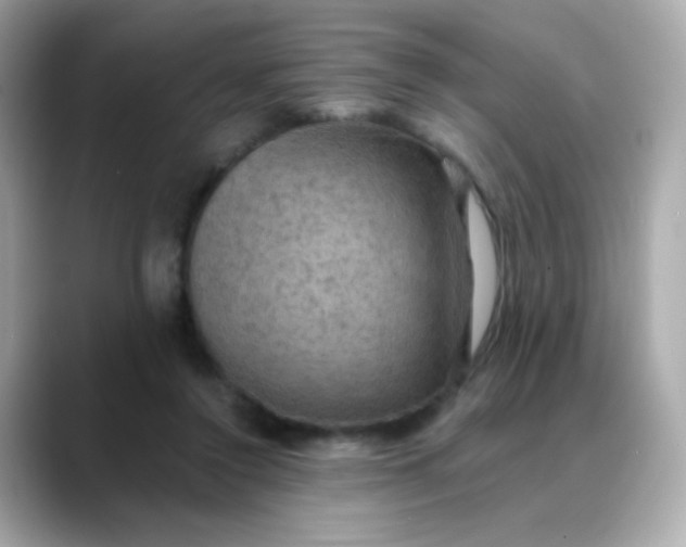 X0000088390356200706051121