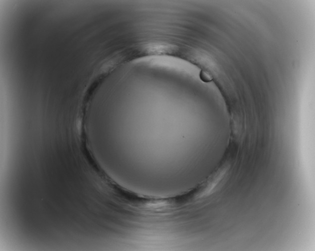 X0000088390357200706051121