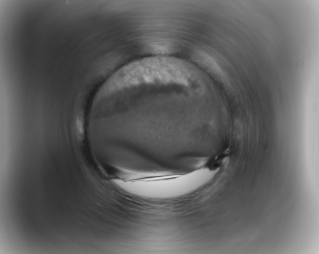 X0000088390358200706051121