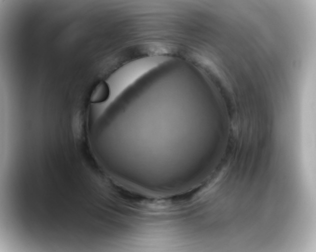 X0000088390359200706051121