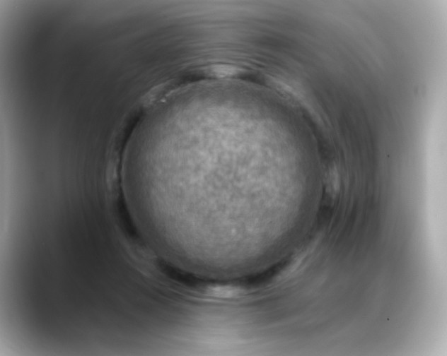 X0000088390360200706051122