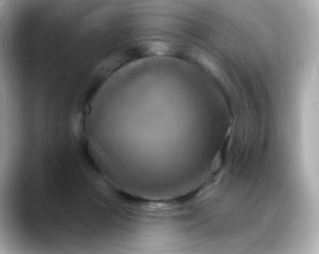 X0000088390361200706051122