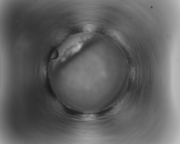 X0000088390363200706051122