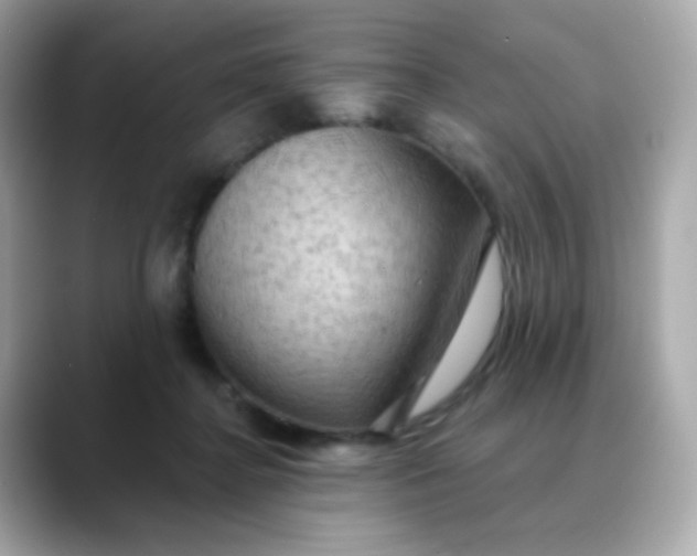 X0000088390364200706051122