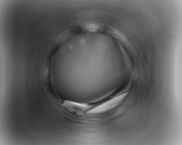 X0000088390365200706051122