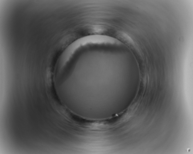 X0000088390366200706051122