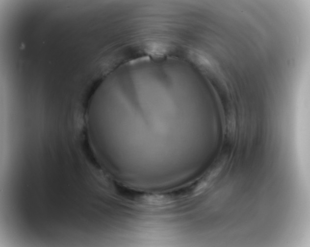 X0000088390367200706051122