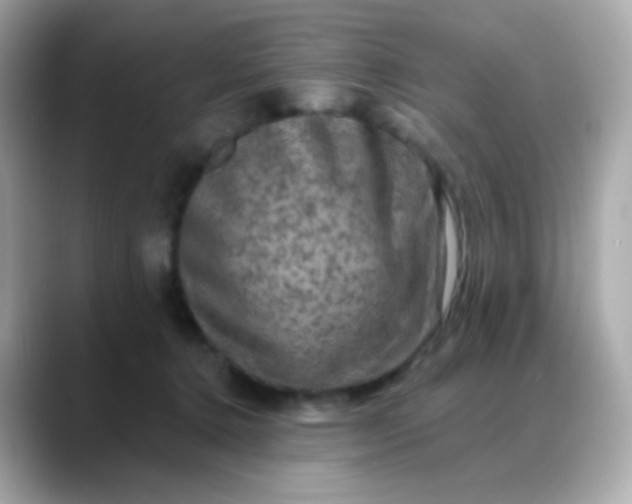 X0000088390368200706051122