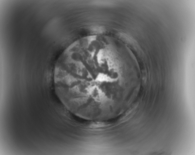 X0000088390369200706051122