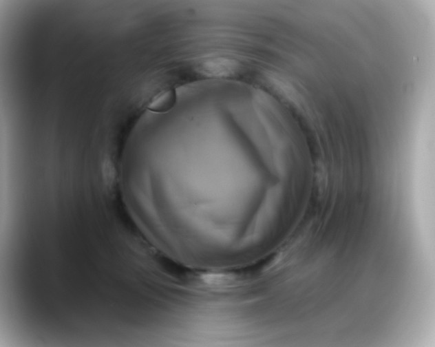 X0000088390371200706051122