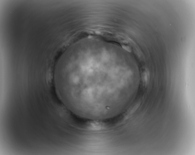 X0000088390372200706051122