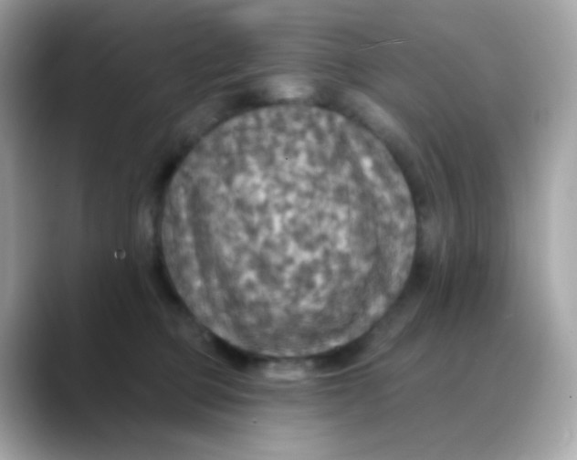 X0000088390373200706051122