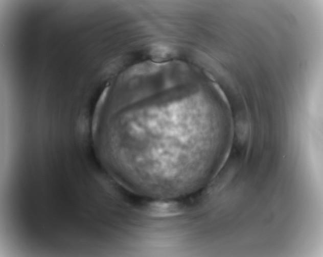 X0000088390375200706051122