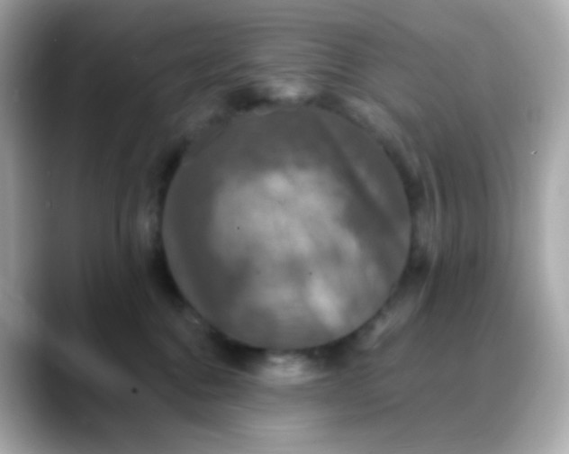 X0000088390376200706051122