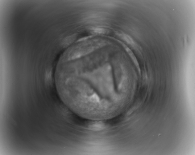 X0000088390377200706051122