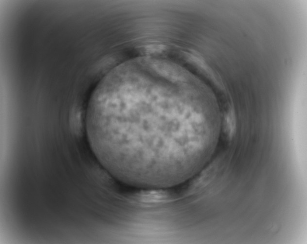 X0000088390378200706051122