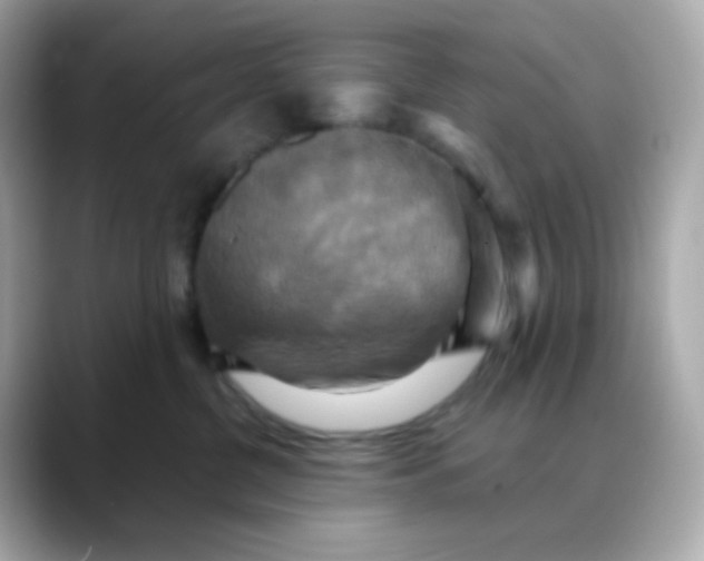 X0000088390380200706051122