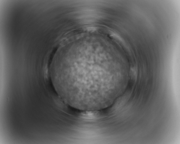 X0000088390381200706051122