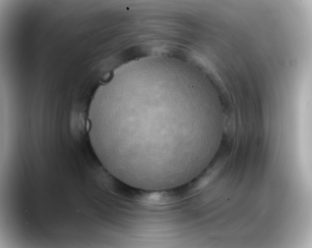 X0000088390382200706051122