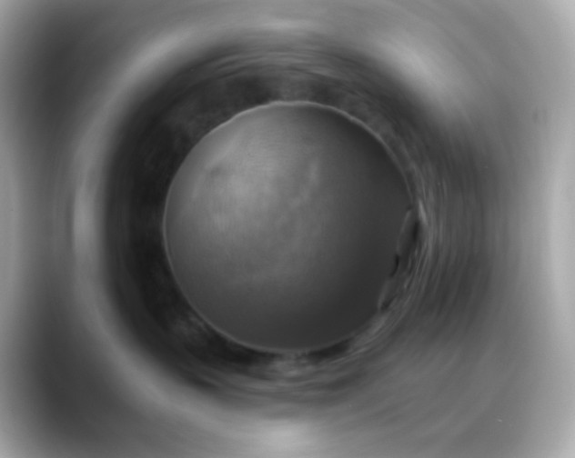 X0000088390383200706051122