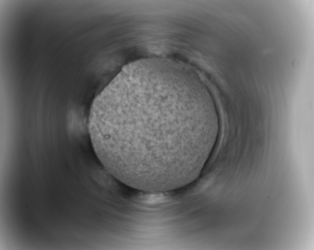 X0000088390384200706051122