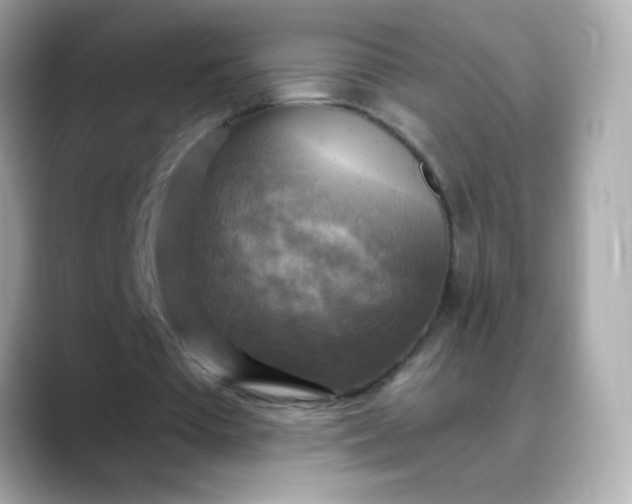 X0000088390385200706051121