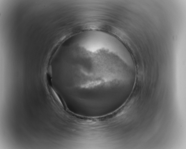 X0000088390386200706051121