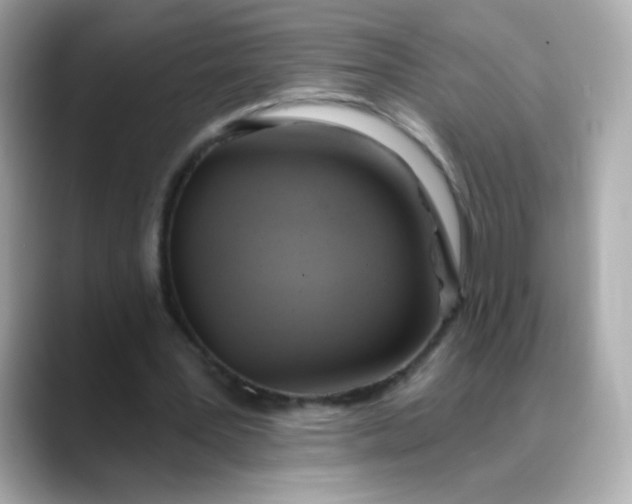 X0000088390387200706051121