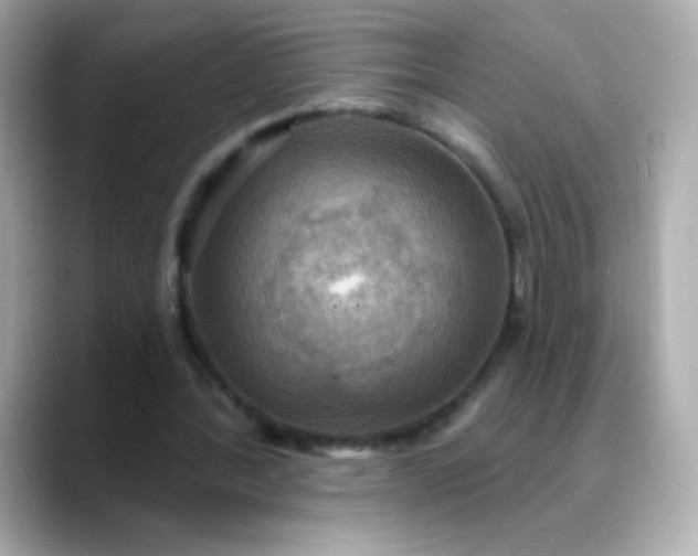 X0000088390388200706051121