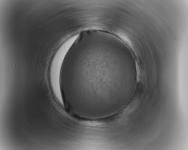 X0000088390389200706051121