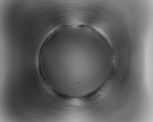 X0000088390390200706051121