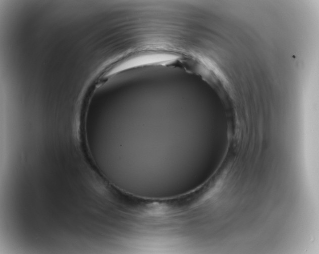 X0000088390391200706051121