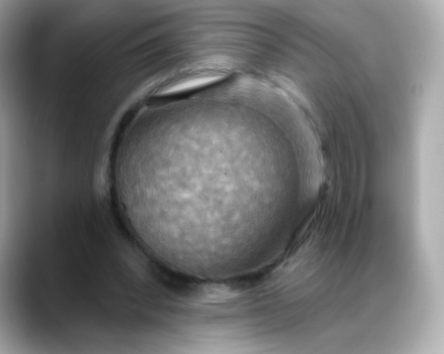 X0000088390392200706051121