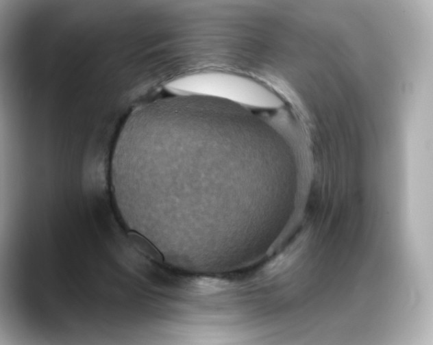 X0000088390393200706051121