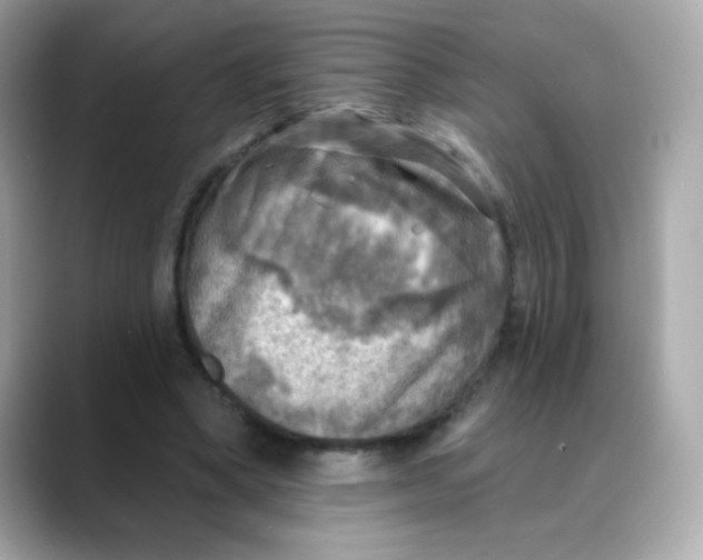 X0000088390394200706051121