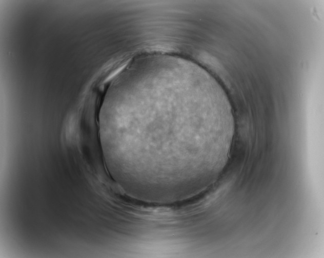 X0000088390395200706051121