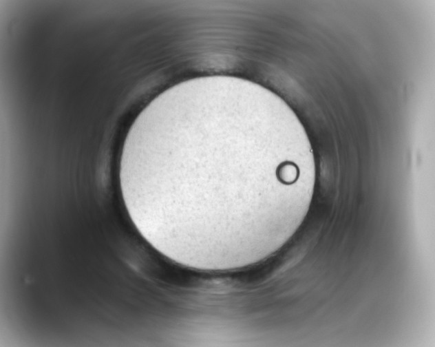 X0000088390396200706051121