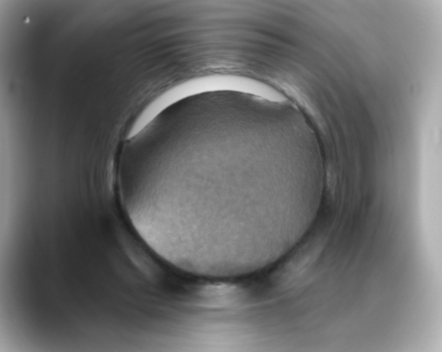 X0000088390397200706051121