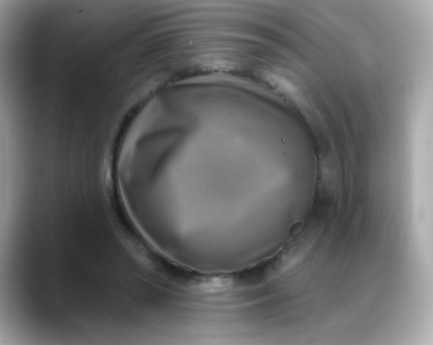 X0000088390398200706051121