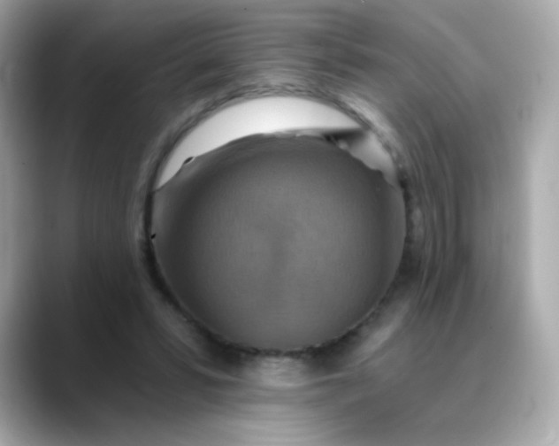 X0000088390399200706051121