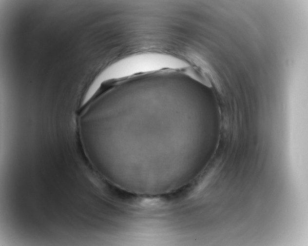 X0000088390401200706051121